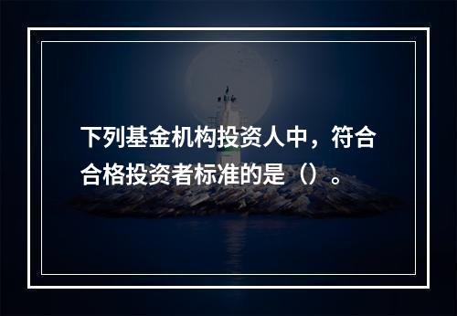 下列基金机构投资人中，符合合格投资者标准的是（）。