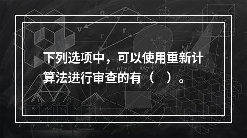 下列选项中，可以使用重新计算法进行审查的有（　）。