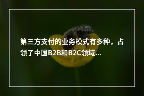 第三方支付的业务模式有多种，占领了中国B2B和B2C领域的