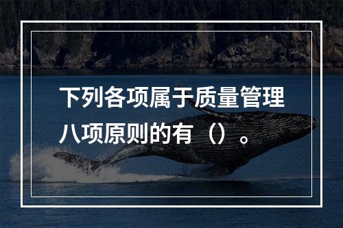 下列各项属于质量管理八项原则的有（）。