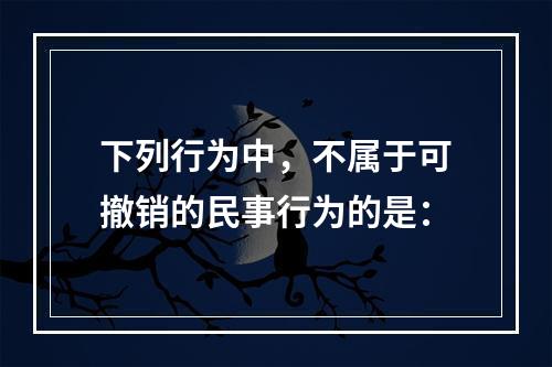 下列行为中，不属于可撤销的民事行为的是：