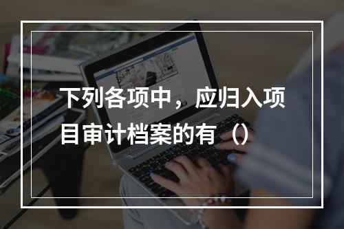 下列各项中，应归入项目审计档案的有（）