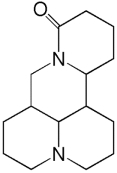 含喹喏里西啶结构单元，为苦参主要成分的是(　)。