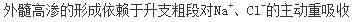 关于肾髓质组织间液高渗状态的形成，错误的是（）。