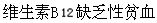 患者，男，45岁，面色苍白、乏力3个月，查体：皮肤黏膜苍白，