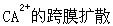 胃肠平滑肌基本电节律的产生主要由于：（）