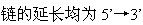 比较RNA转录与DNA复制，下列哪些是正确的？（）。