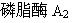 糖皮质激素可通过增加下列哪种物质抑制合成白三烯（）