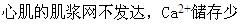 心肌不会产生强直收缩，其原因是（）。