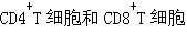 根据抗原受体的类型可将T细胞分为（）