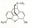 可待因系吗啡的3位甲醚衍生物，对延脑的咳嗽中枢有直接抑制作用