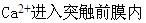 关于兴奋性突触传递的叙述，哪项是错误的？（）