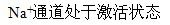 心室肌细胞绝对不应期的产生是由于（）