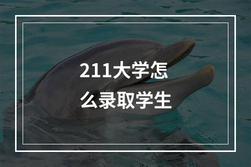 211大学怎么录取学生