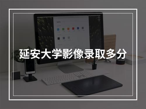 延安大学影像录取多分