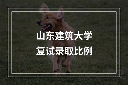 山东建筑大学复试录取比例