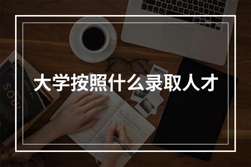 大学按照什么录取人才