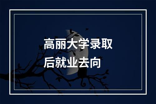 高丽大学录取后就业去向