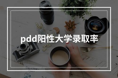 pdd阳性大学录取率