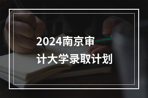 2024南京审计大学录取计划