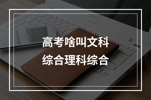 高考啥叫文科综合理科综合