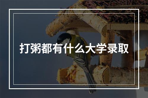 打粥都有什么大学录取