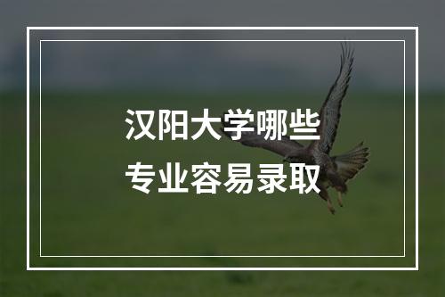 汉阳大学哪些专业容易录取