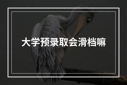 大学预录取会滑档嘛