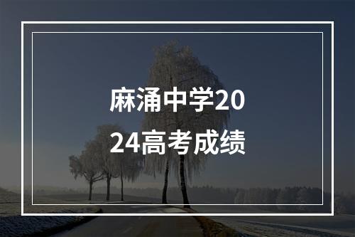 麻涌中学2024高考成绩