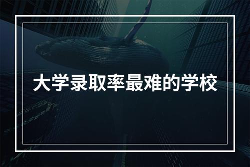 大学录取率最难的学校