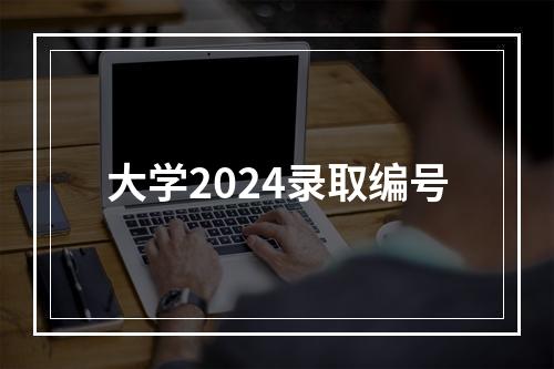 大学2024录取编号