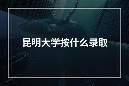 昆明大学按什么录取