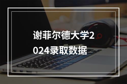 谢菲尔德大学2024录取数据