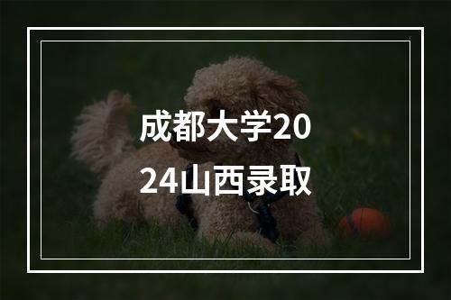 成都大学2024山西录取