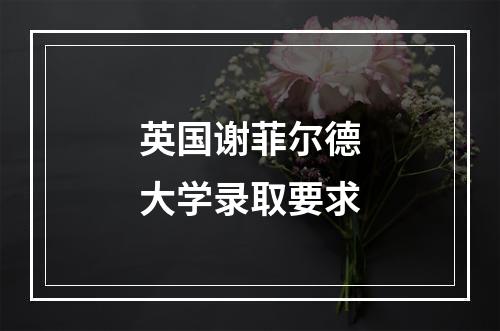 英国谢菲尔德大学录取要求