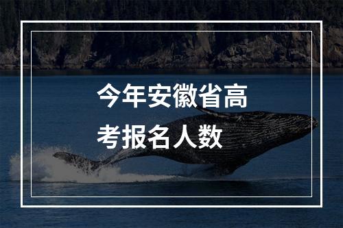 今年安徽省高考报名人数