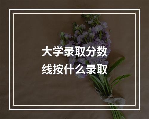 大学录取分数线按什么录取