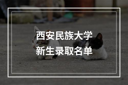 西安民族大学新生录取名单