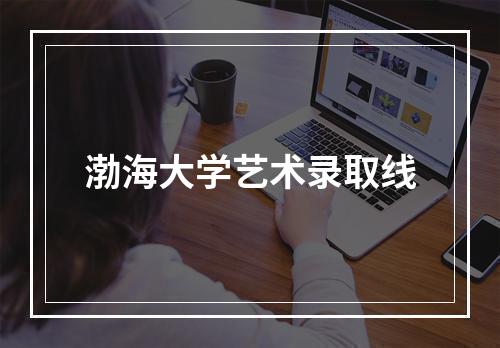 渤海大学艺术录取线