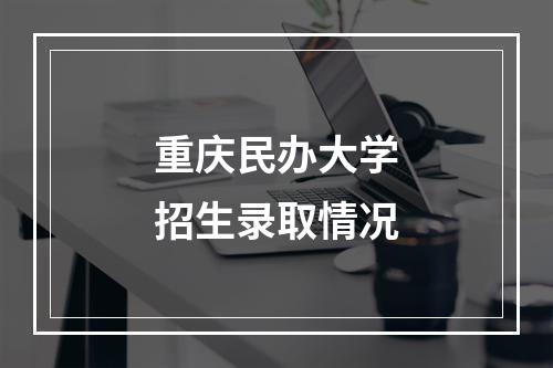 重庆民办大学招生录取情况