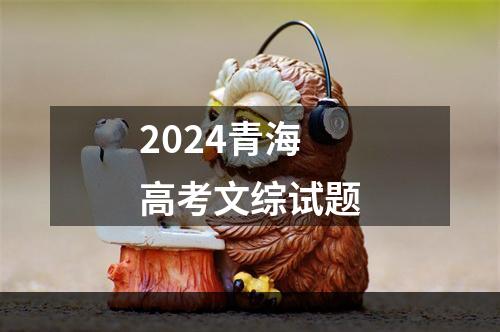 2024青海高考文综试题