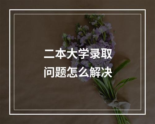 二本大学录取问题怎么解决