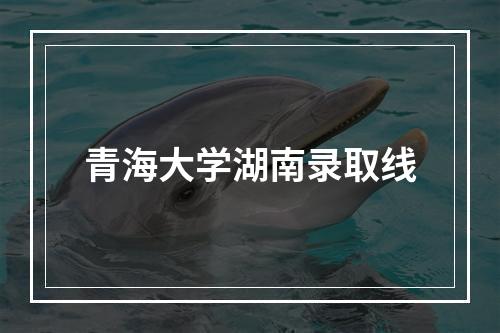 青海大学湖南录取线