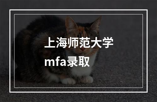 上海师范大学mfa录取