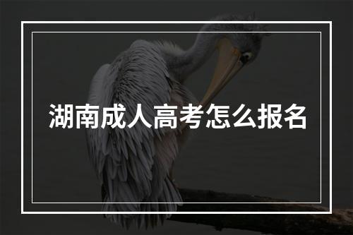 湖南成人高考怎么报名