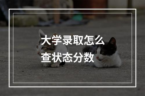 大学录取怎么查状态分数