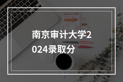 南京审计大学2024录取分