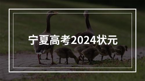 宁夏高考2024状元