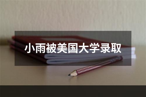 小雨被美国大学录取