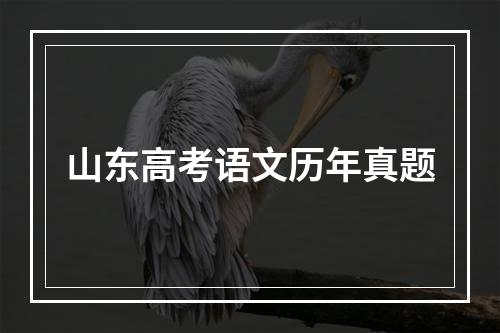 山东高考语文历年真题